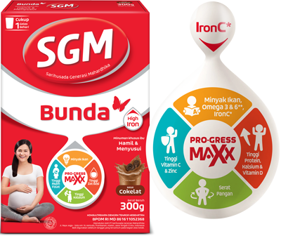 SGM Bunda Hamil & Menyusui